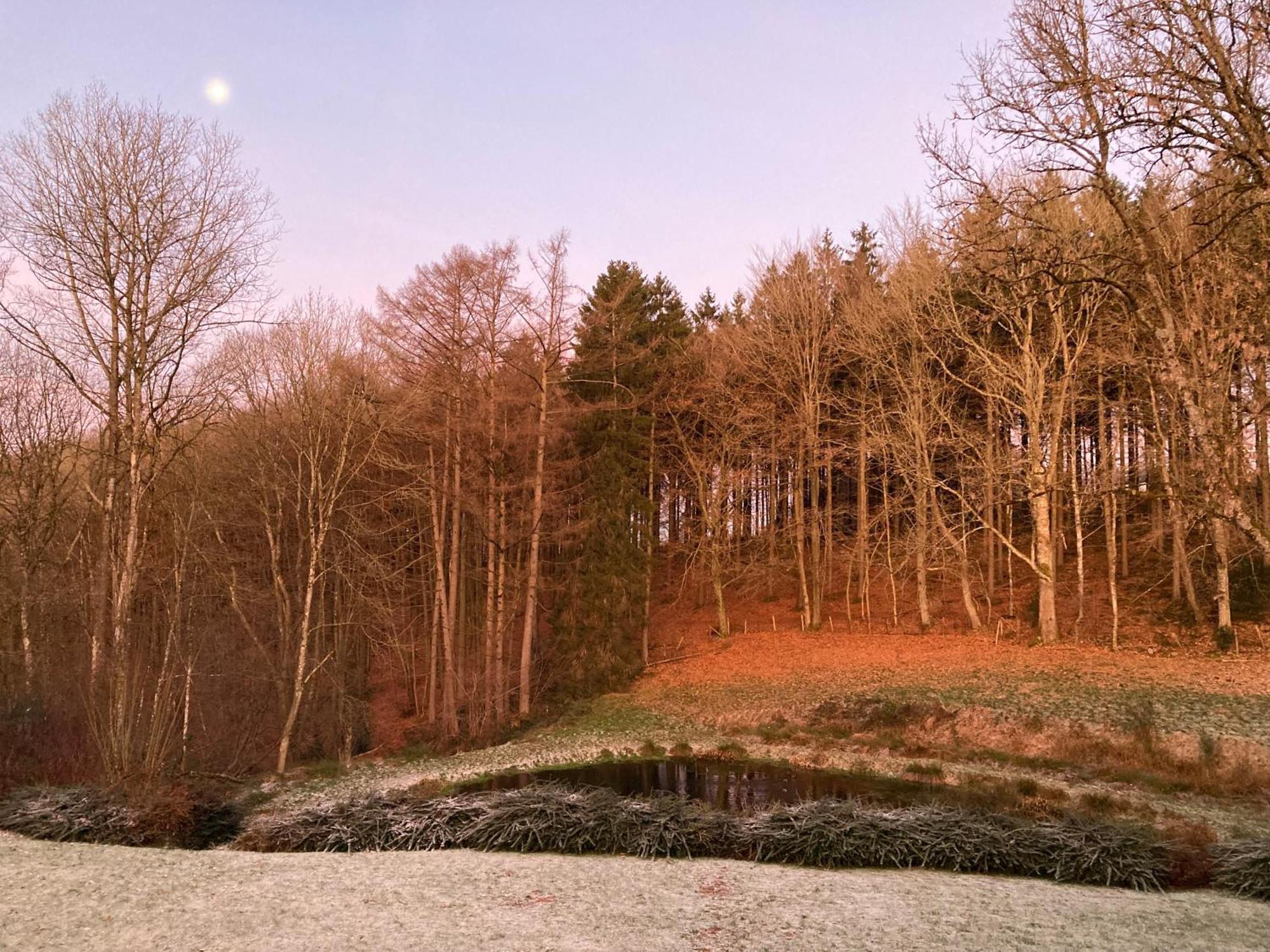 B&B Les Oiseaux De Passage Harre ภายนอก รูปภาพ