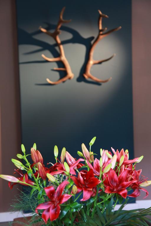 B&B Les Oiseaux De Passage Harre ภายนอก รูปภาพ